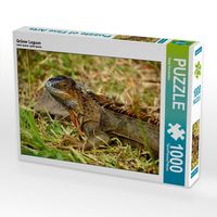 Produktbild: CALVENDO Puzzle Gr&uuml;ner Leguan | 1000 Teile Lege-Gr&ouml;&szlig;e 64x48cm Foto-Puzzle f&uuml;r gl&uuml;ckliche Stunden