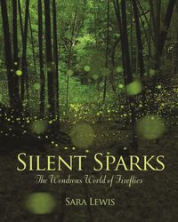 Produktbild: Silent Sparks