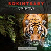 Produktbild: Bokintsary - Ny biby