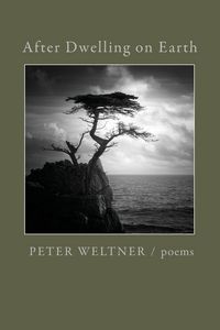 Produktbild: After Dwelling on Earth