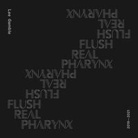 Bild vom Artikel Flush Real Pharynx 2019-2021 vom Autor Lee Gamble