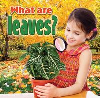 Produktbild: What Are Leaves?