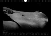 Erotische Körper (Wandkalender 2023 DIN A4 quer)
