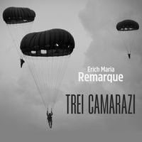 Produktbild: Trei camarazi