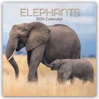 Produktbild: Elephants – Elefanten 2026 – 16-Monatskalender