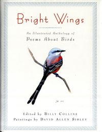 Produktbild: Bright Wings