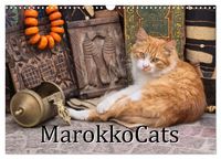 Produktbild: MarokkoCats (Wandkalender 2027 DIN A3 quer), CALVENDO Monatskalender