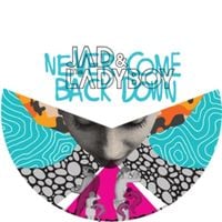 Bild vom Artikel Never Come Back Down vom Autor Jad & The Ladyboy