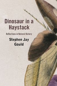 Produktbild: Dinosaur in a Haystack