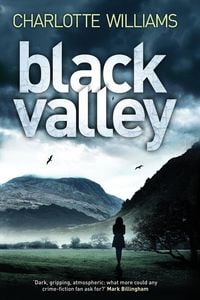 Produktbild: Black Valley