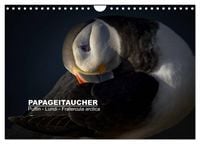 Produktbild: Papageitaucher: Puffin - Lundi - Fratercula arctica (Wandkalender 2027 DIN A4 quer), CALVENDO Monatskalender