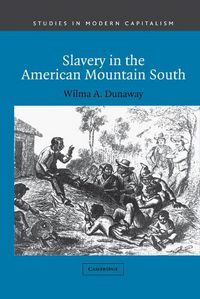 Produktbild: Slavery in the American Mountain South