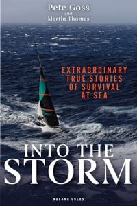 Produktbild: Into the Storm
