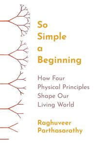 Produktbild: So Simple a Beginning