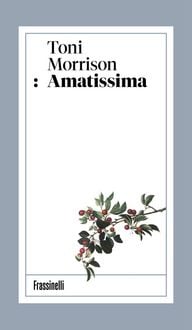 Produktbild: Amatissima