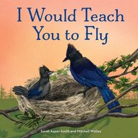 Produktbild: Asper-Smith, S: I Would Teach You to Fly