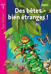 Produktbild: Tous Lecteurs !; Droles de Petites Betes ; Niveau 1 ; Livre de l'Eleve