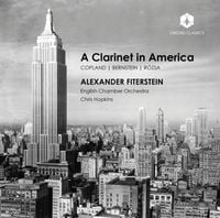 Produktbild: A Clarinet in America