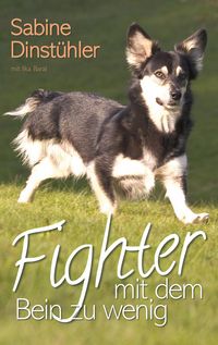 Produktbild: Fighter mit dem Bein zu wenig