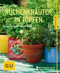 Produktbild: K&uuml;chenkr&auml;uter in T&ouml;pfen