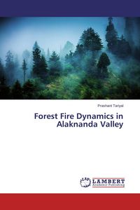 Produktbild: Forest Fire Dynamics in Alaknanda Valley