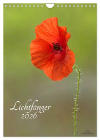 Produktbild: Lichtf&auml;nger (Wandkalender 2026 DIN A4 hoch), CALVENDO Monatskalender