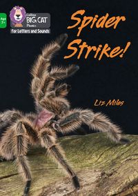Produktbild: Spider Strike!