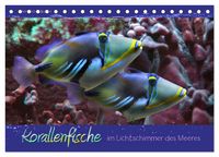 Produktbild: Korallenfische im Lichtschimmer des Meeres (Tischkalender 2027 DIN A5 quer), CALVENDO Monatskalender