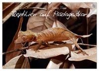 Produktbild: Reptilien auf Madagaskar (Wandkalender 2027 DIN A2 quer), CALVENDO Monatskalender