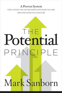 Produktbild: Potential Principle