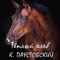 Produktbild: Teplyiy hleb