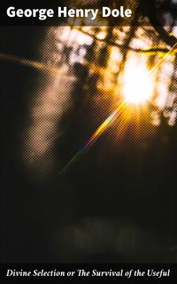 Produktbild: Divine Selection or The Survival of the Useful
