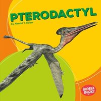 Produktbild: Pterodactyl