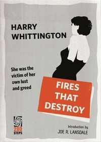 Bild vom Artikel Fires That Destroy vom Autor Harry Whittington