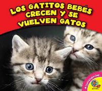 Produktbild: Los Gatitos Bebes Crecen y Se Vuelven Gatos
