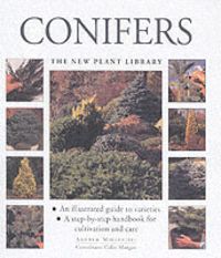 Produktbild: Conifers