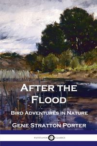 Produktbild: After the Flood