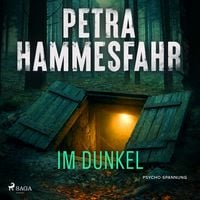 Produktbild: Im Dunkel