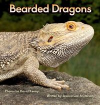 Produktbild: Bearded Dragons