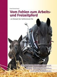 Produktbild: Vom Fohlen zum Arbeits- und Freizeitpferd - am Beispiel der Kaltblutstute Ella