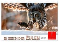 Produktbild: Im Reich der Eulen (Wandkalender 2026 DIN A3 quer), CALVENDO Monatskalender