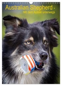 Produktbild: Australian Shepherd &ndash; Mit dem Aussie unterwegs (Wandkalender 2026 DIN A3 hoch), CALVENDO Monatskalender