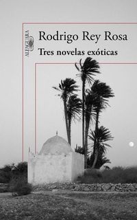 Bild vom Artikel Tres novelas exóticas vom Autor Rodrigo Rey Rosa
