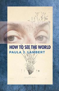 Produktbild: How to See the World