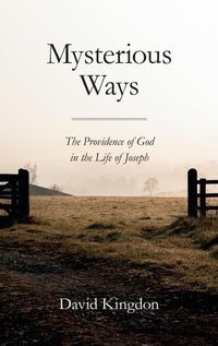 Produktbild: Mysterious Ways: The Providence of God in Life of Joseph