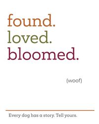 Produktbild: FoundLovedBloomed