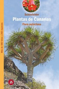 Bild vom Artikel Plantas de Canarias vom Autor Peter Schönfelder