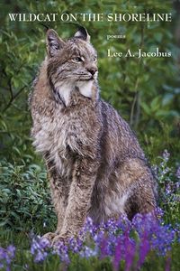 Produktbild: Wildcat on the Shoreline