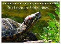 Produktbild: Das Leben der Schildkr&ouml;ten (Tischkalender 2027 DIN A5 quer), CALVENDO Monatskalender