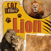 Produktbild: Lion